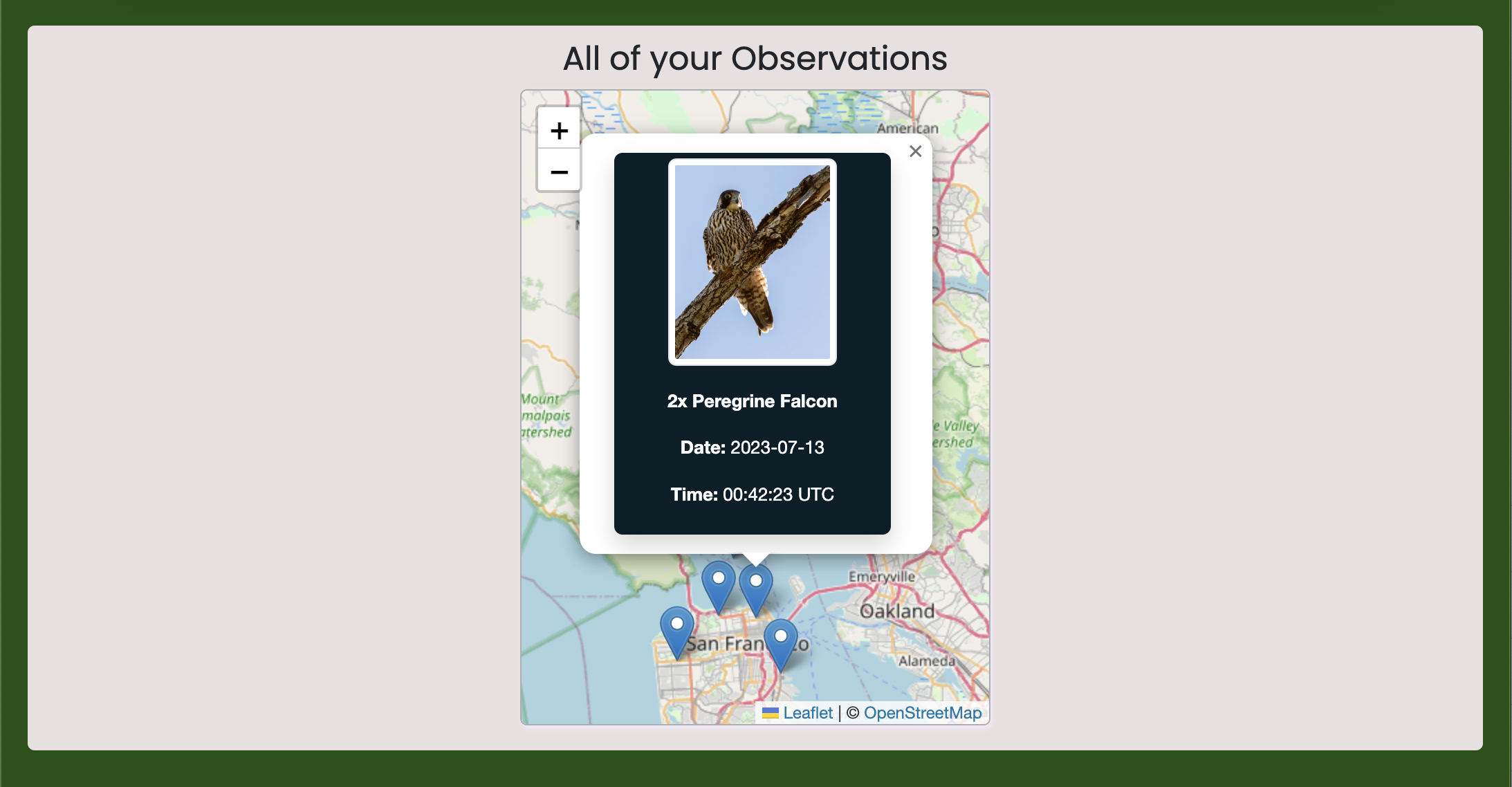 green island in the ocean